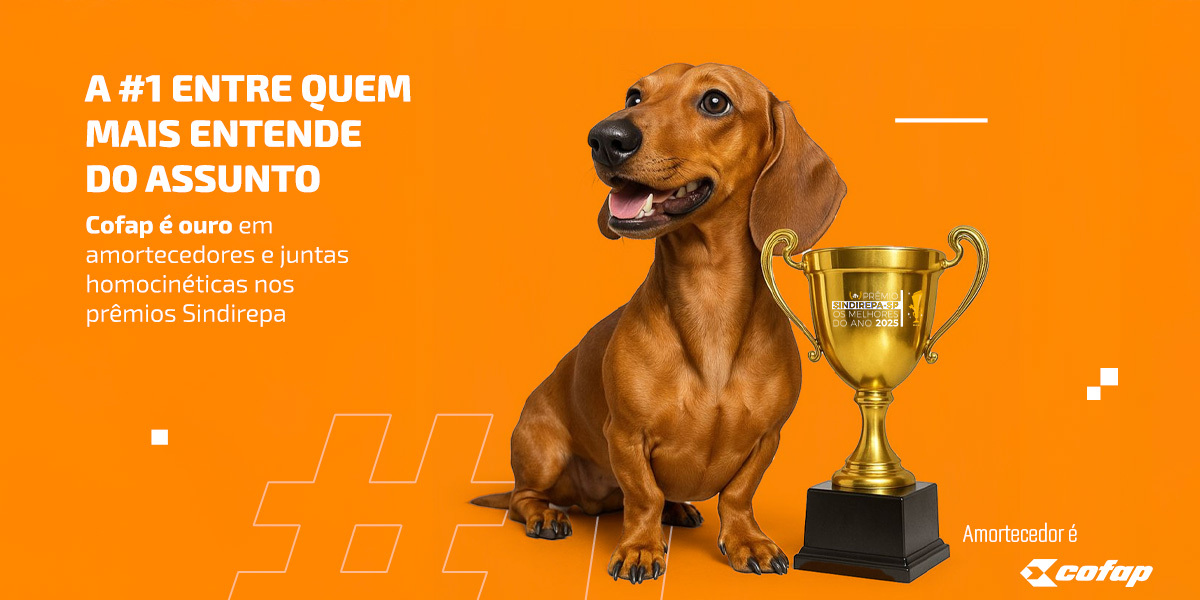 Preview de Imagem do post
