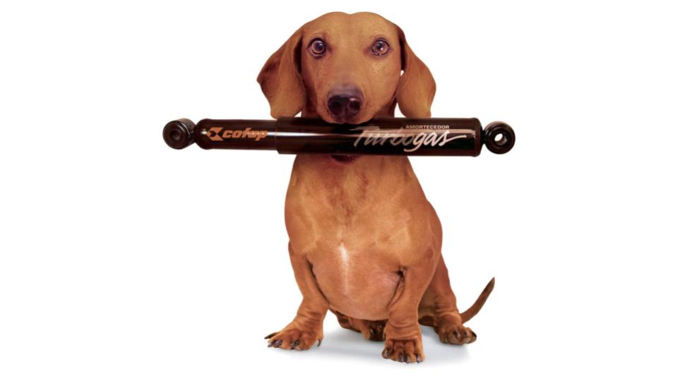 Preview de Imagem do post